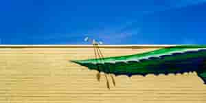 Yuma